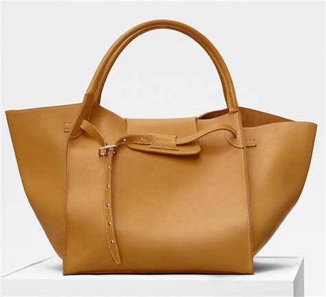 celen bag